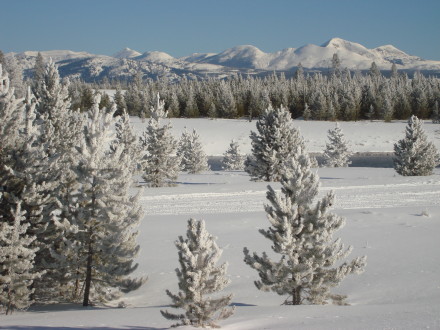 Snowmobile Yellowstone