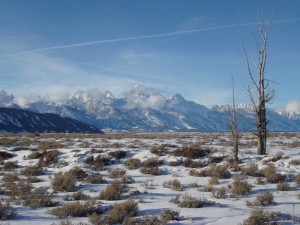 Jackson Hole Snowmobile Tours