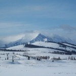 Yellowstone Snowmobiling