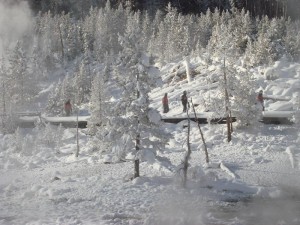 Yellowstone Snowmobiling