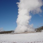 Yellowstone Snowmobiling Tours