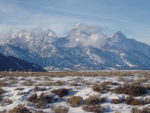 Snowmobile Yellowstone Pictures