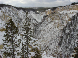 Snowmobile Yellowstone Pictures