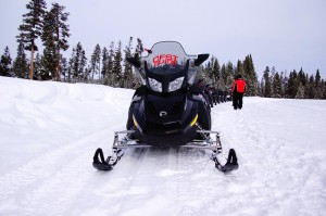 Snowmobile Yellowstone Pictures