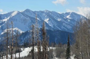 Wyoming Snowmobiling Tours
