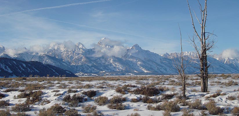 yellowstone winter tours from jackson hole