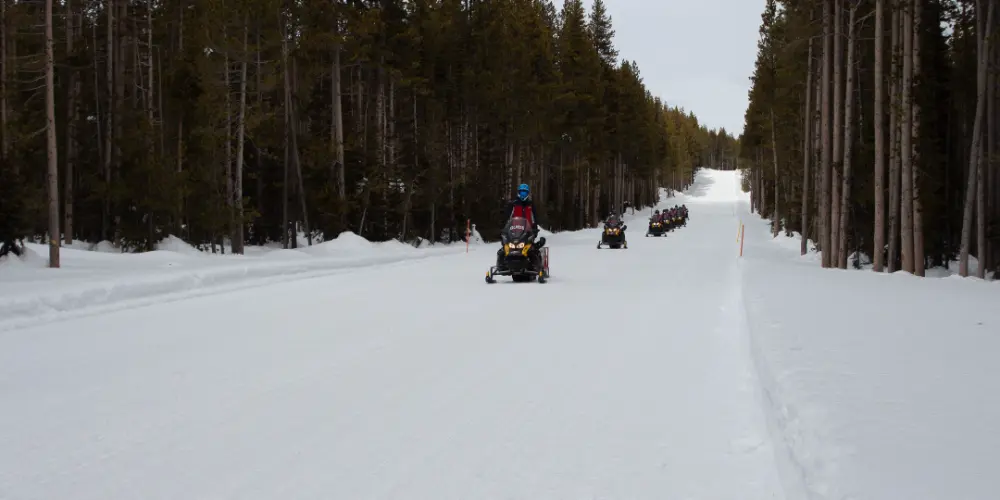 Yellowstone National Park snowmobiling