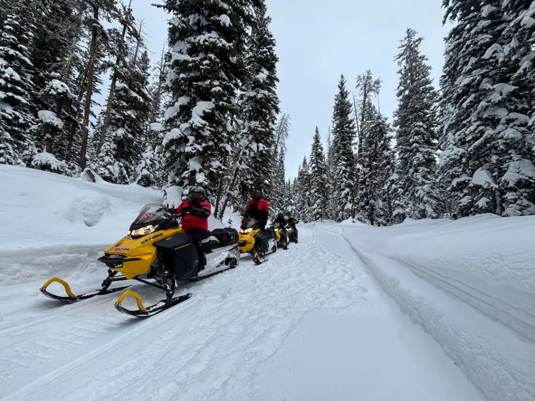 Two snowmobilers in red jackets riding yellow snowmobiles on a snowy trail through snow-covered evergreen forest on Contin...