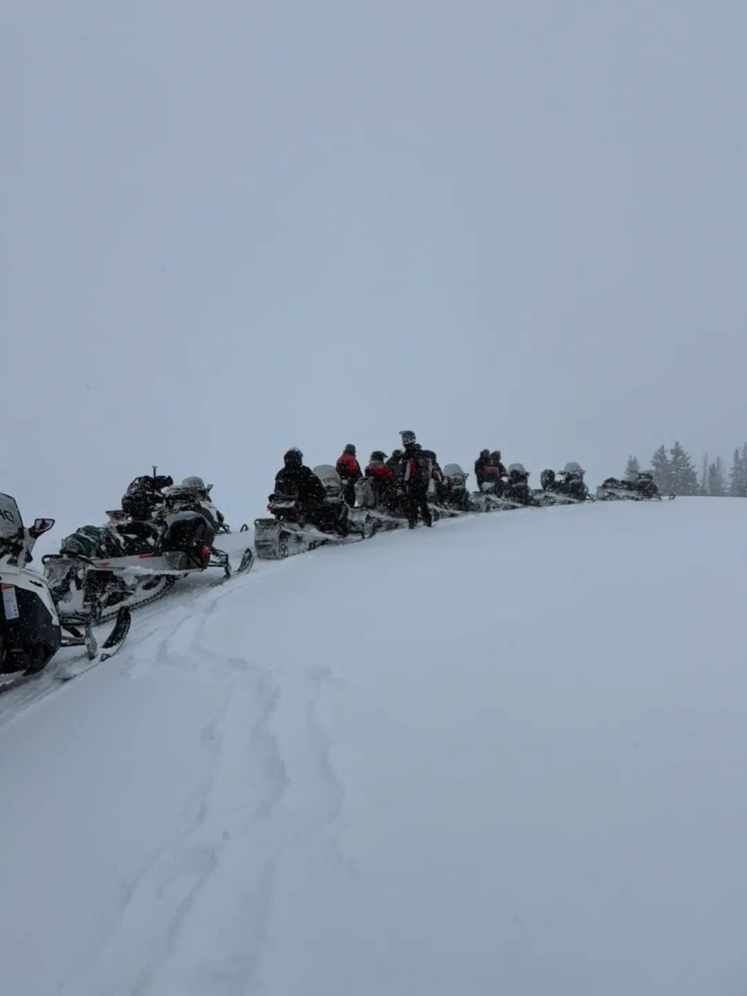 Group of snowmobilers lined up on snowy trail during Continental Divide tour with overcast sky and snow-covered trees