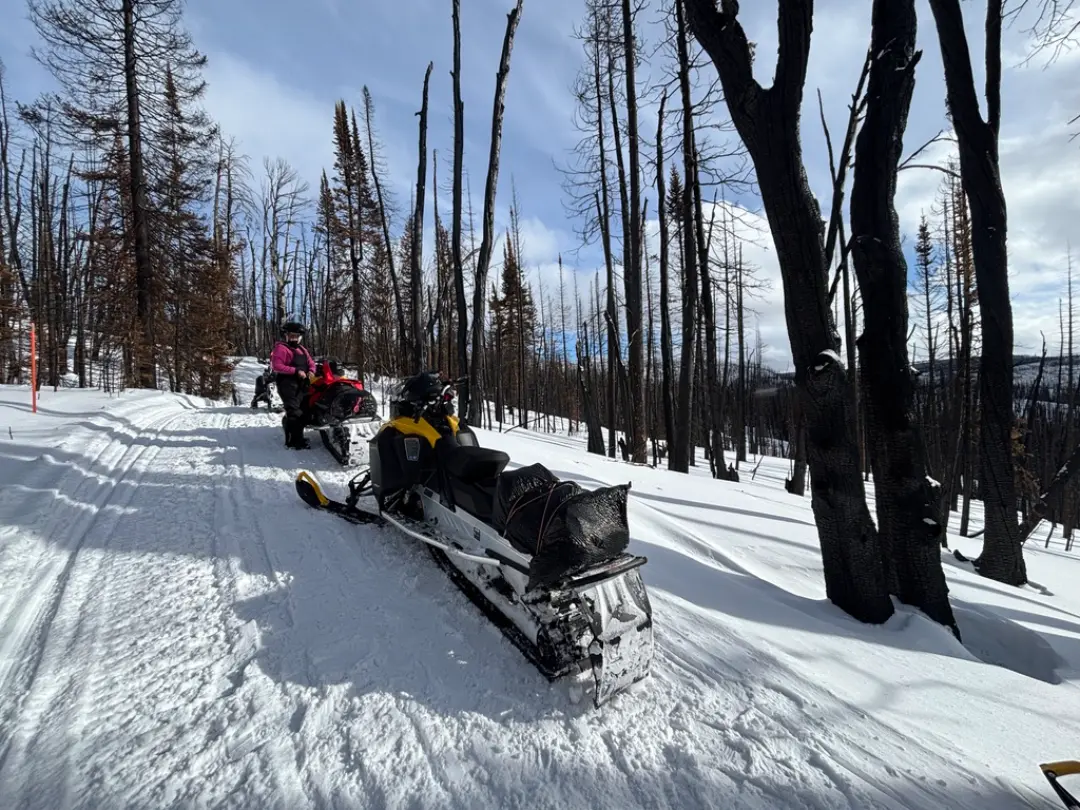 Two snowmobilers riding through snow-covered forest with bare, burned trees on Continental Divide trail