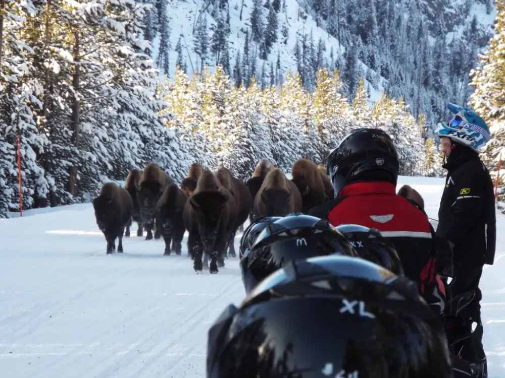 snowmobile day tours