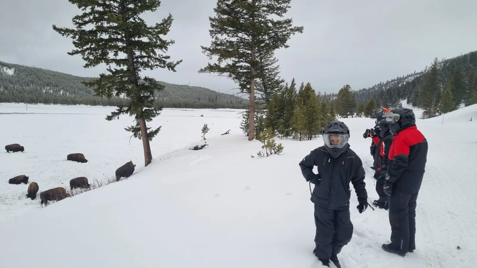 Jackson Hole snowmobiling FAQs