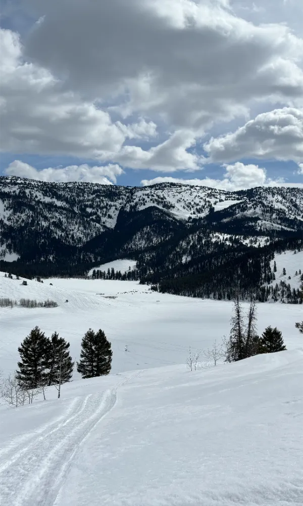 Greys River snowmobile tour