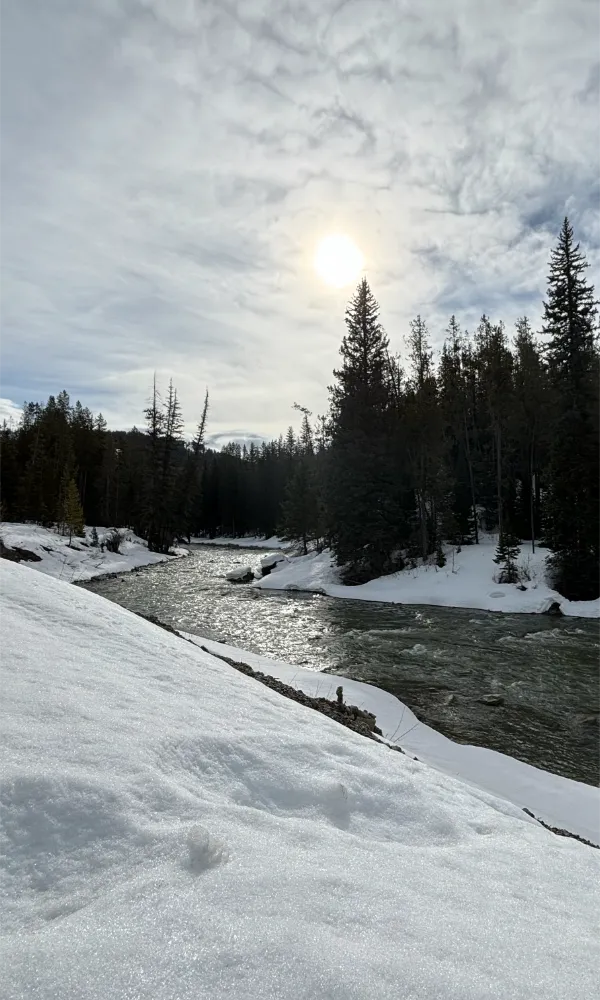 Greys River snowmobile tour