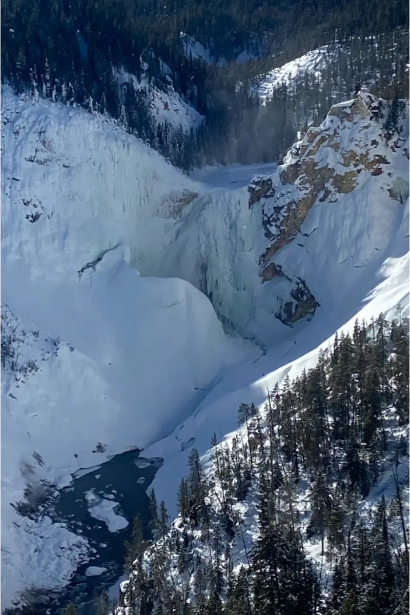 Yellowstone snowmobile tours