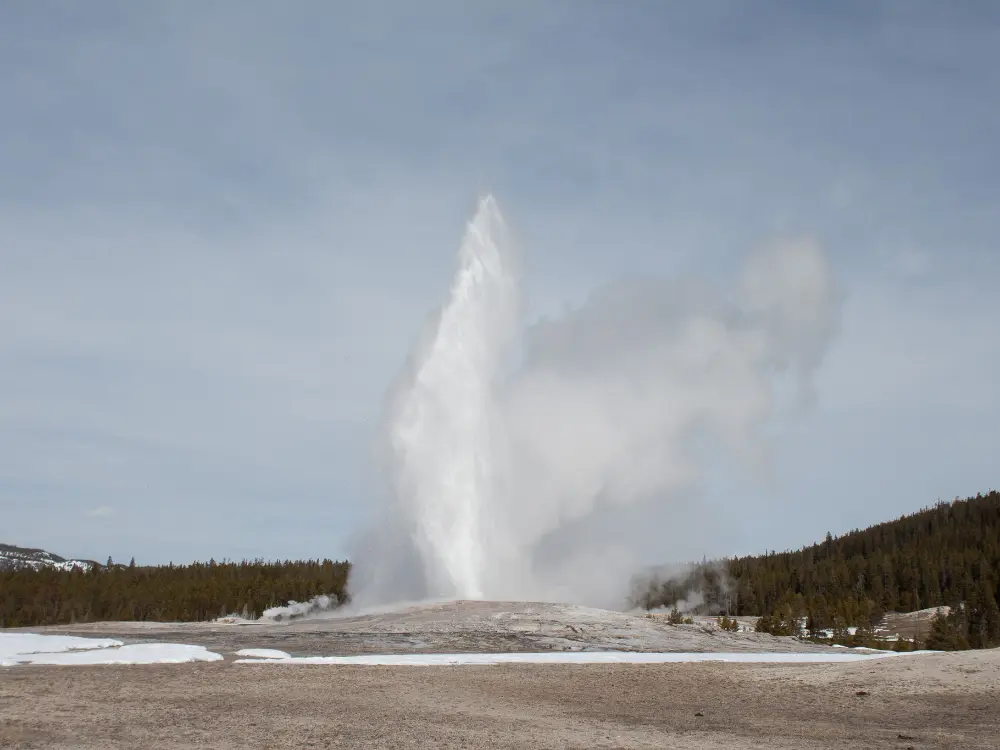Large geyser erupting with tall white water column against cloudy sky, surrounded by snowy ground and forested hills in Ye...