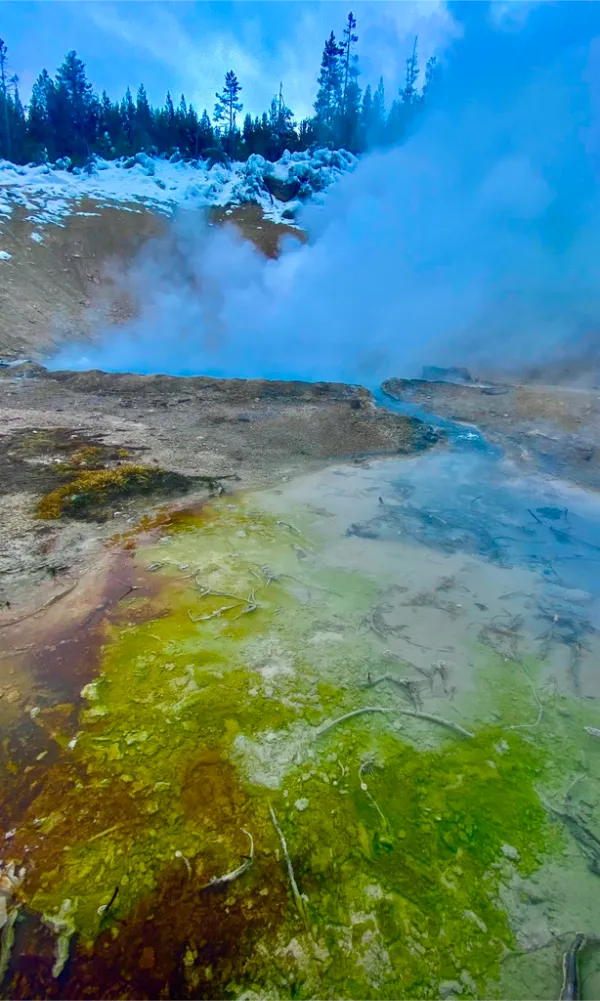 Steaming hot spring with colorful mineral deposits in green and yellow hues, surrounded by snow and evergreen trees in Yel...