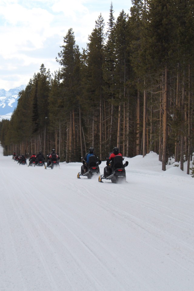 Group of snowmobilers riding through snowy forest trail in Yellowstone with evergreen trees and mountains in background